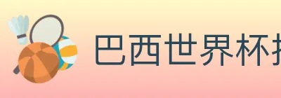 巴西世界杯投注入口 logo
